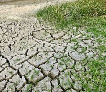 DROUGHT.jpg