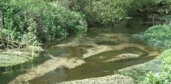 ANGLIAN WATER CHALK STREAM
