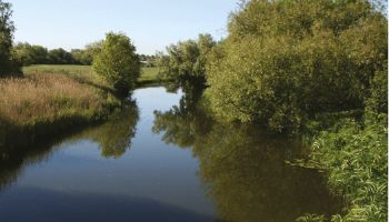 ANGLIAN WATER RIVER BAIN