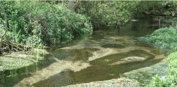 ANGLIAN WATER SOHAM LODE