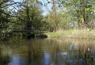 AW PITSFORD WATER PROJECT