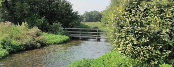 Affinity Water chalk streams 1
