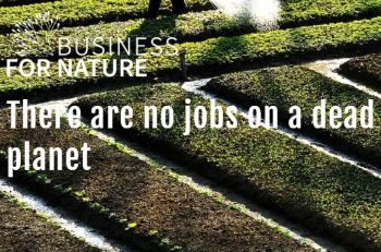 BUSINESS FOR NATURE