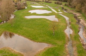 Bayfield wetland