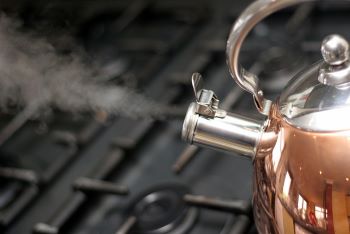 Boiling water steam kettle