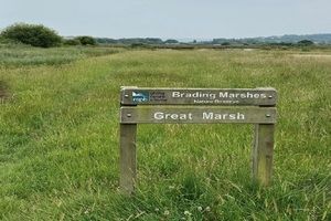 Brading-marshes-nature-reserve