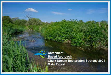 CABA CHALK STEAM STRATEGY REPORT