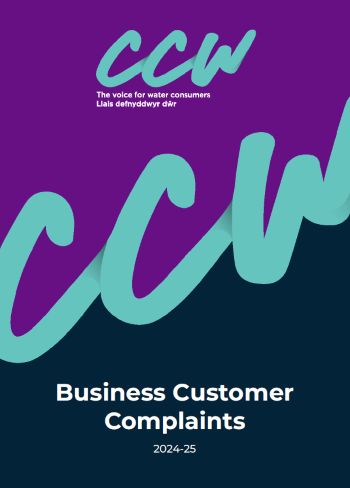 CCW BUSINESS CUSTOMER REPORTS JULY 2025