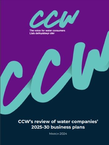 CCW REVIEW OF WATER COMPANY 2025-30 BUSINESS PLANS - MAR 2024