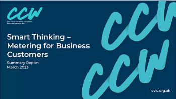 CCW SMART THINKING FOR BUSINESS CUSTOMERS REPORT