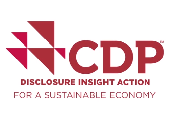 CDP - SUSTAINABLE ECONOMY