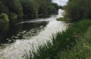 CHALK STREAM GENERIC
