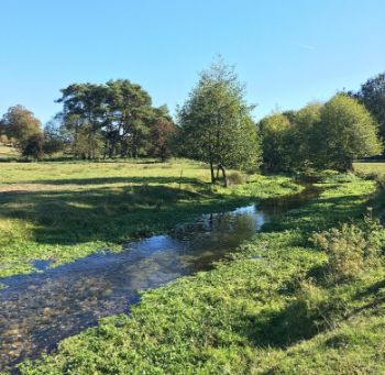 CHALK STREAM RIVER CHESS 1