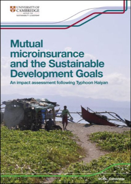 CISL Micro-Insurance Report 1