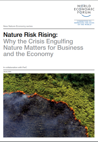 DAVOS WEF NATURE REPORT