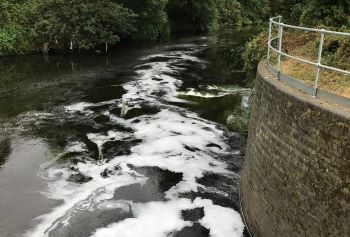 Detergent pollution - foam entering the river don