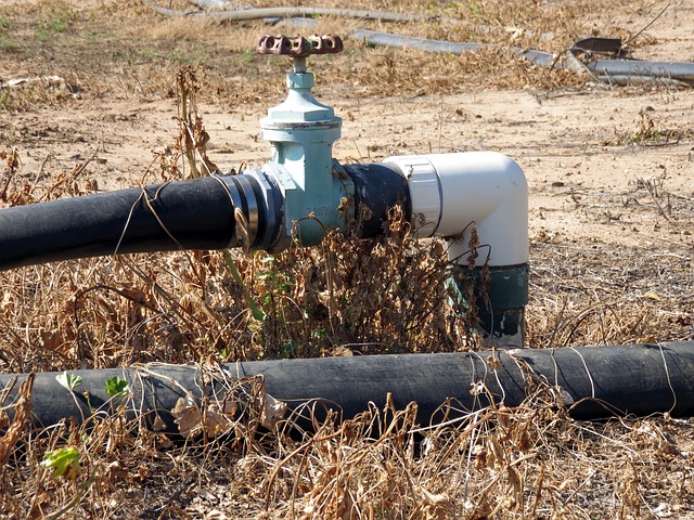 Drought- irrigation taps