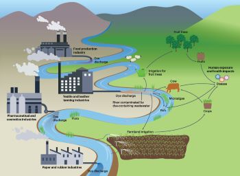 Dye in wastewater  waterways
