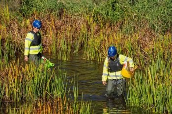 EA CRAYFISH RELOCATION EA 1