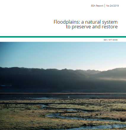 EEA FLOOD PLAIN REPORT