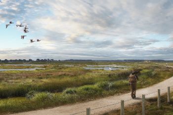 ENVIRONMENT AGENCY - ISLE OF PURBECK DIVERSE WETLANDS SCHEME 1