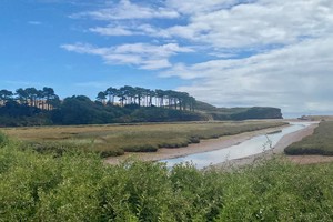 ESTUARY - THE LOWER OTTER