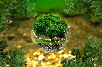 Environment 1