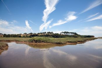 Estuary  - Otter Mouth Devon