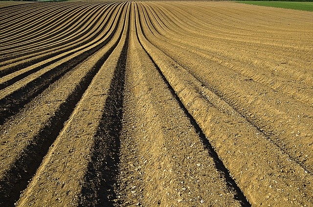 FARMLAND SOIL