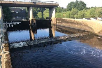FISH PASS 1