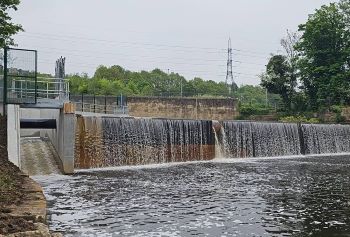 FISH PASS niagara-weir