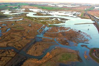 FLOODING - TEES PROGRAMME 1