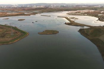 FLOODING - TEES PROGRAMME 2