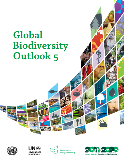GLOBAL BIODIVERSITY OUTLOOK REPORT