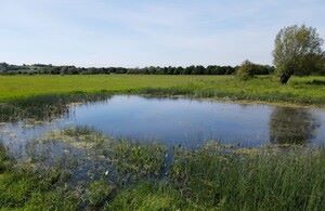 GLOS WILDLIFE TRUST  Coombe Hill site