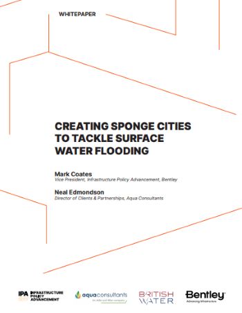 IPA REPORT SPONGE CITIES