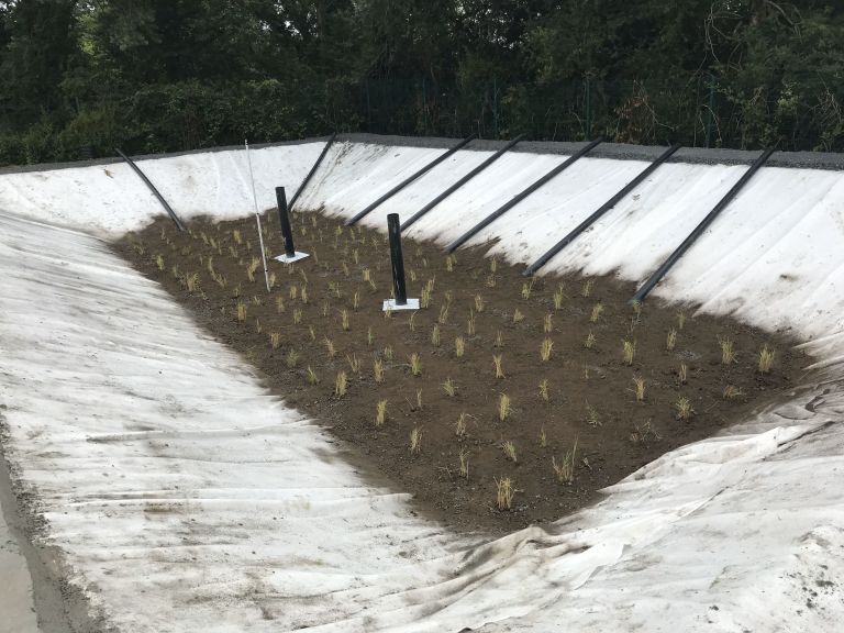 IRISH WATER REED BEDS PROJECT