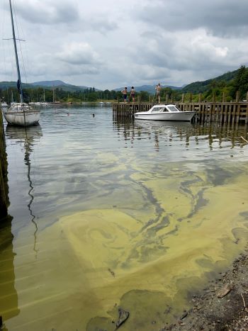 LAKE WINDERMERE ALGAL BLOOMS
