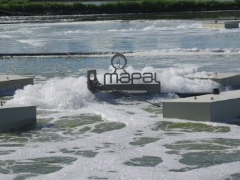 MAPAL.jpg