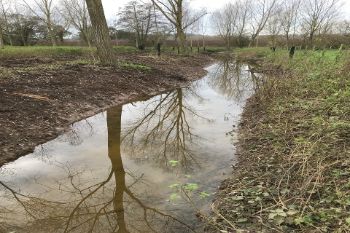 Marsh_dyke_completed_1.jpg