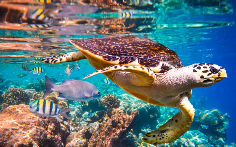 IPBES REPORT PHOTO