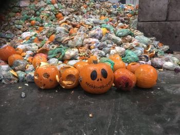 SEVERN TRENT pumpkin power 1