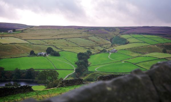 YORKSHIRE WATER MOORLAND