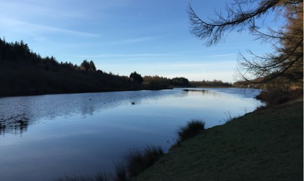YW NATIONAL PARK RESERVOIR 1