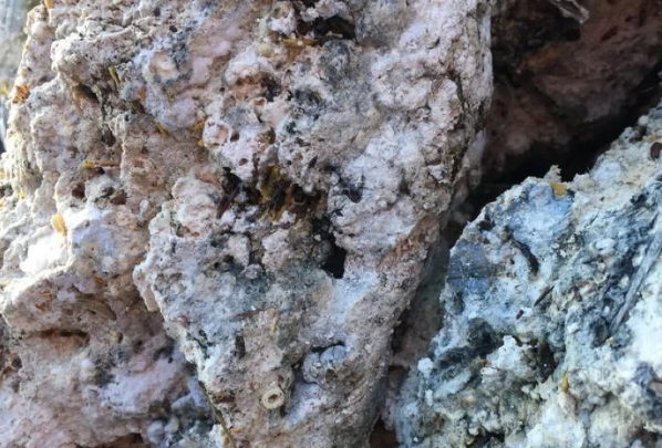 fatberg