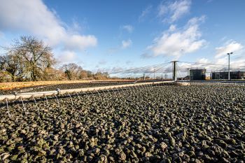NORTHUMBRIAN WATER FELTON STW
