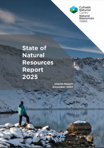 NRW INTERIM STATE OF NATURAL REOURCES REPORT DEC 2024