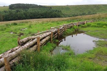 Natural Flood Management - Leaky Barrier Smithills Estate Bolton