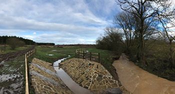 Natural flood management - coatham woods 1