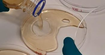 PETRIE DISH - LIQUID TESTING 